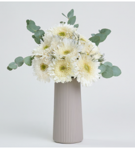 Bej Çizgili Polimer Vazoda Beyaz Gerbera Çiçekleri